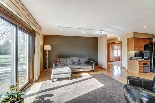 living room featuring light hardwood / wood-style floors