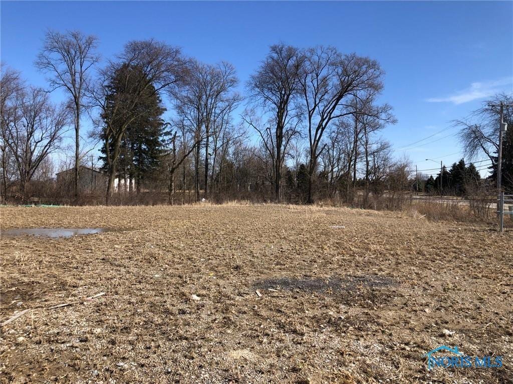 5655 Olive Tree Ln, Monclova, OH 43542
