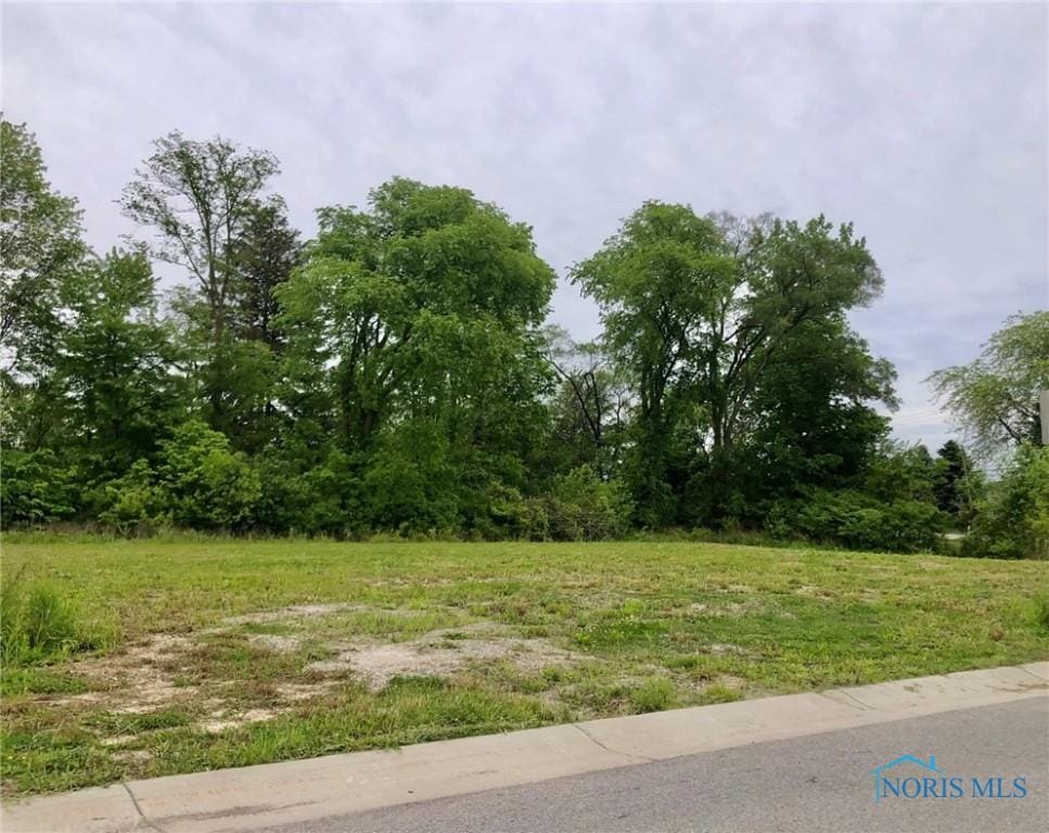 5655 Olive Tree Ln, Monclova, OH 43542 - photo 1