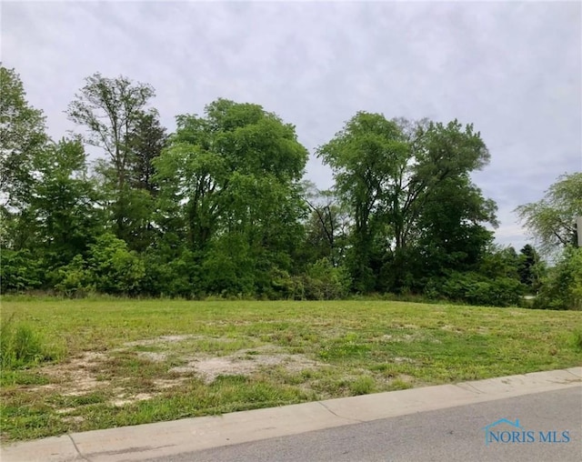 5655 Olive Tree Ln, Monclova, OH 43542 - photo 1