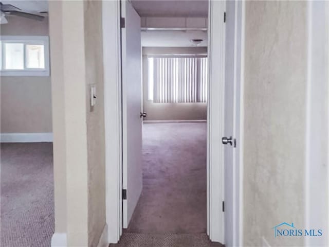 hallway featuring carpet floors