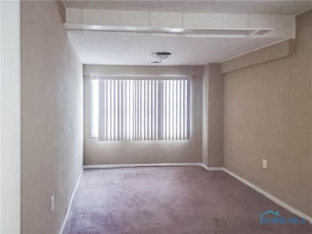 unfurnished room with carpet