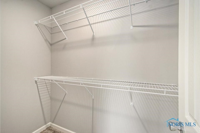 view of walk in closet