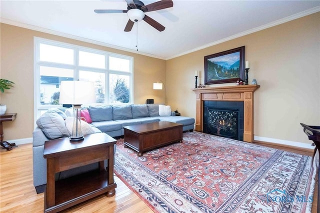 living room with crown molding, light hardwood / wood-style floors, and ceiling fan