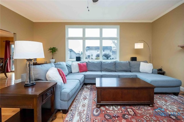 living room with ornamental molding