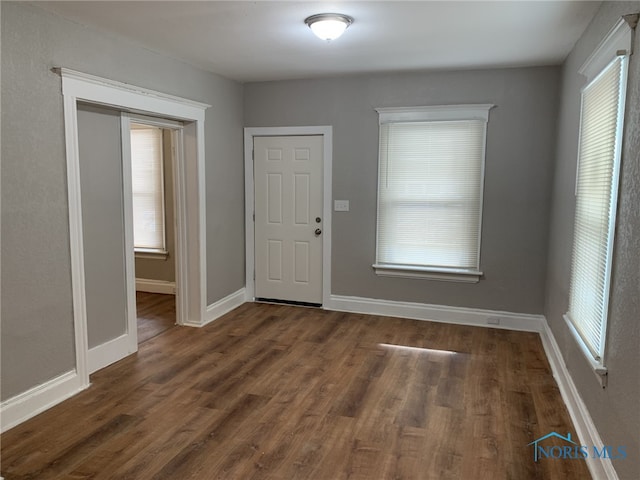 foyer entrance featuring a wealth of natural light and dark hardwood / wood-style floors