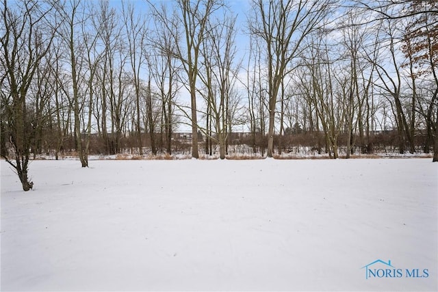 view of yard covered in snow