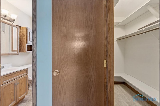 closet featuring sink