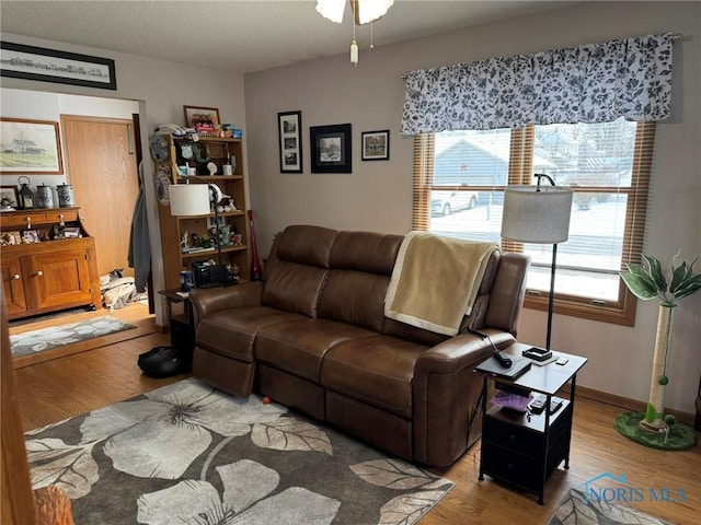 living room featuring hardwood / wood-style flooring