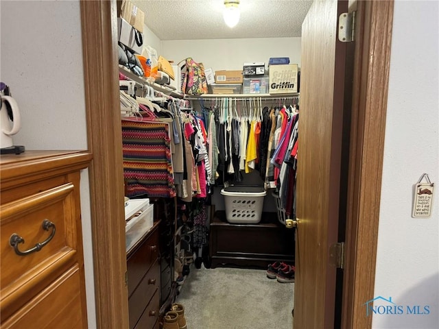 spacious closet featuring carpet flooring