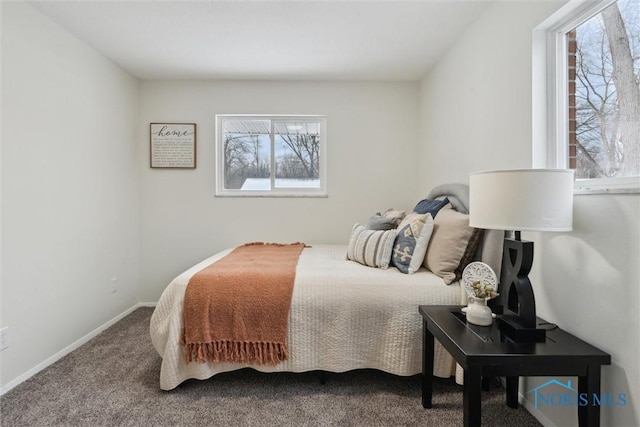 bedroom with carpet and multiple windows