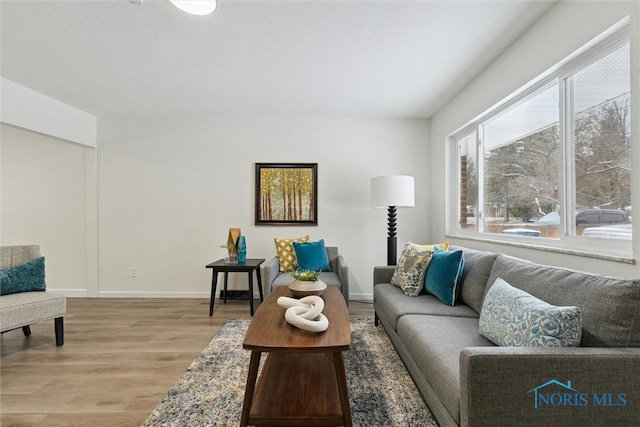 living room with light hardwood / wood-style floors