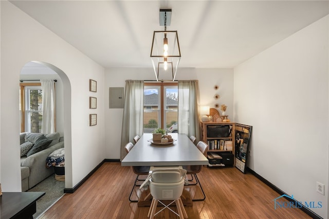 dining room with hardwood / wood-style floors, a wealth of natural light, and electric panel