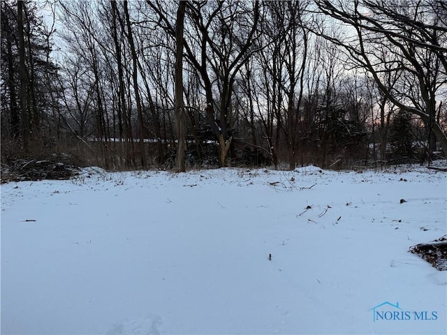 view of yard layered in snow