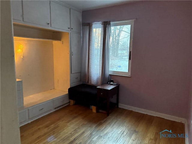 mudroom with a healthy amount of sunlight and light wood-type flooring