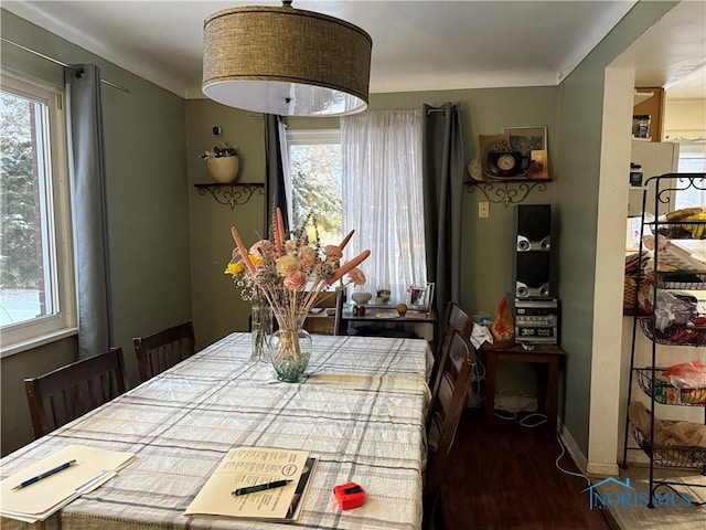 dining area featuring dark hardwood / wood-style flooring and plenty of natural light