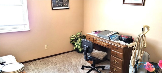 office featuring carpet flooring