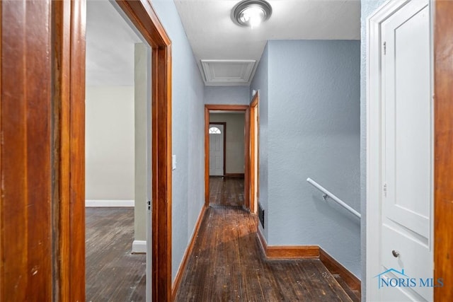 corridor featuring dark hardwood / wood-style flooring