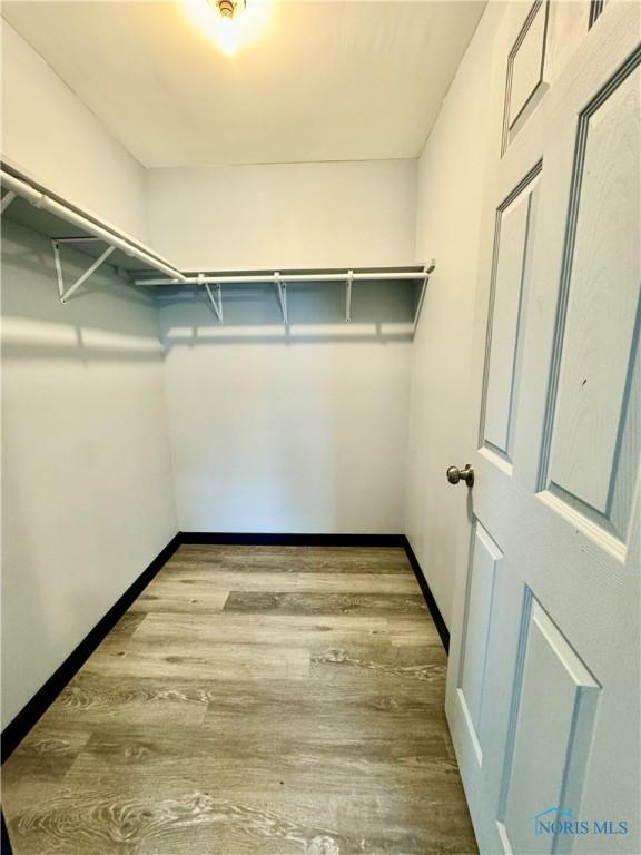 walk in closet with hardwood / wood-style flooring