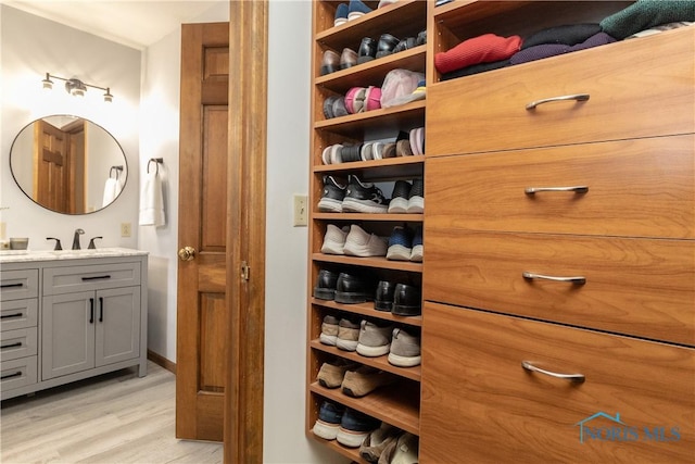 closet featuring sink