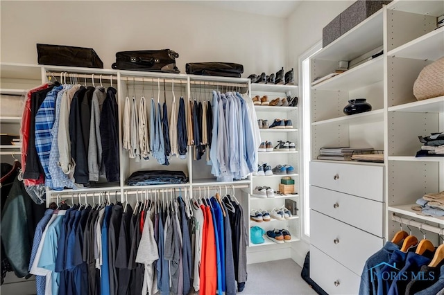 view of spacious closet