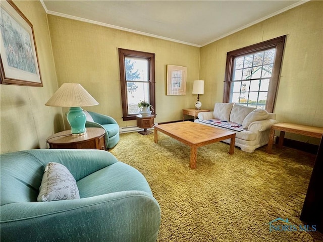 carpeted living room with crown molding and a baseboard heating unit