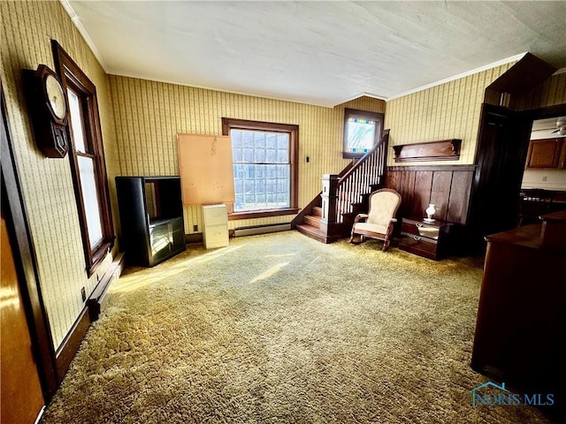 carpeted living room with crown molding and baseboard heating