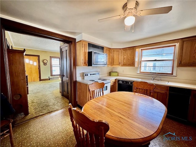 kitchen with sink, ceiling fan, electric range, black dishwasher, and dark colored carpet