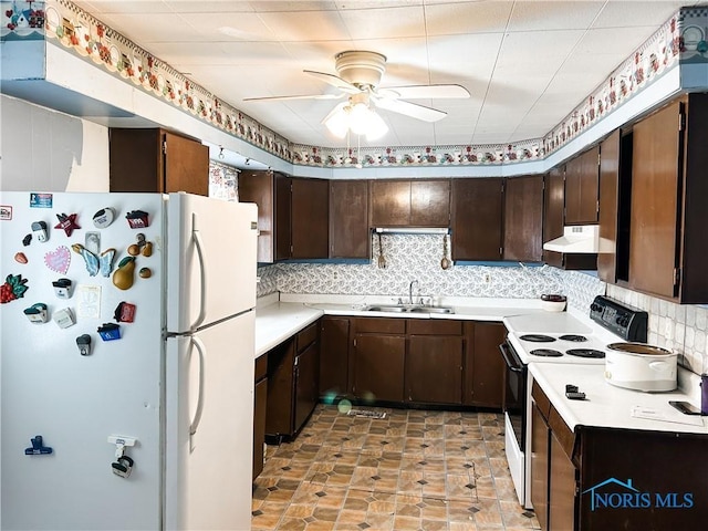 12356 Sylvania Metamora Rd, Berkey, OH 43504 - kitchen featuring electric stove, dark brown cabinetry, sink, and white fridge