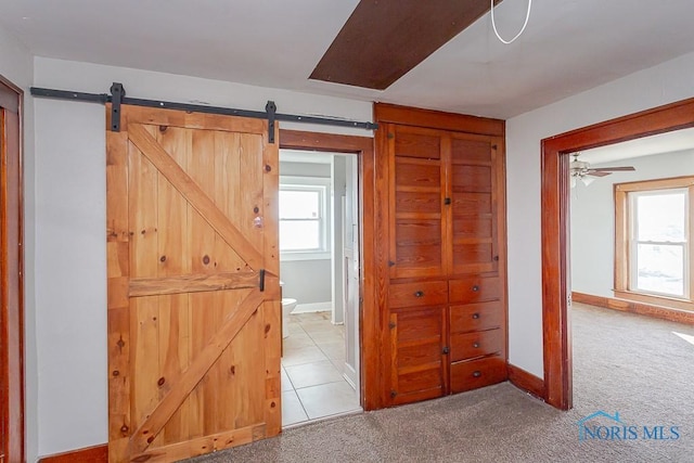 11608 Reitz Rd, Perrysburg, OH 43551 - corridor with carpet floors, a barn door, and a wealth of natural light