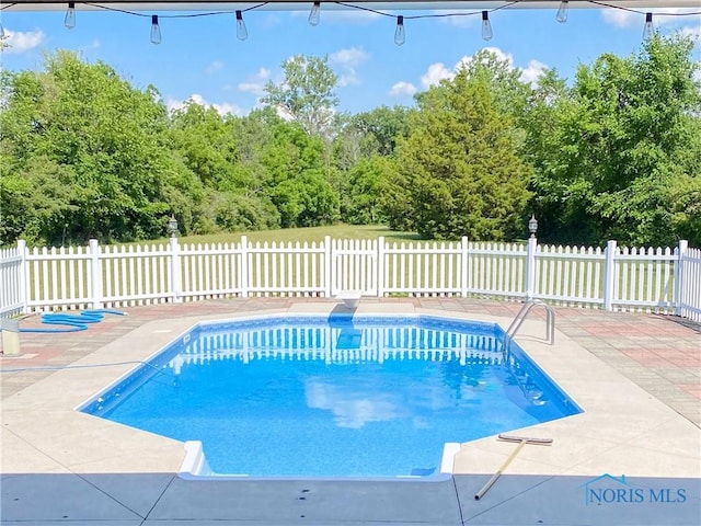 view of swimming pool with a patio