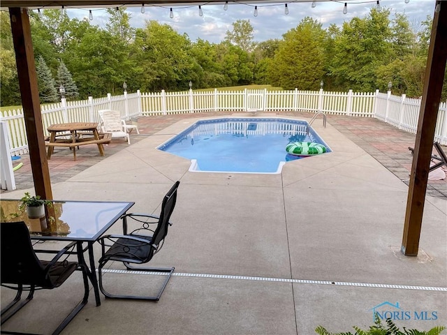 view of pool with a patio