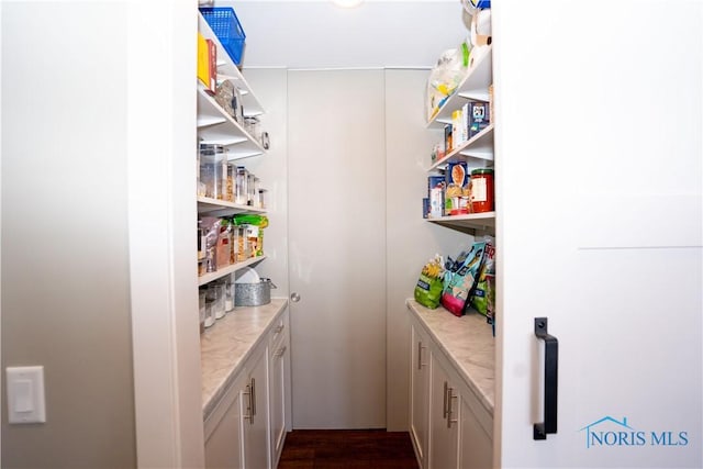 view of pantry