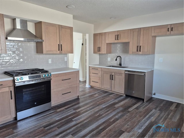 kitchen featuring appliances with stainless steel finishes, sink, wall chimney exhaust hood, and dark hardwood / wood-style floors