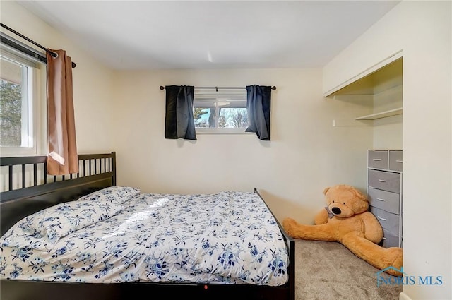 4811 Larkhaven Dr, Toledo, OH 43623 - bedroom with carpet floors