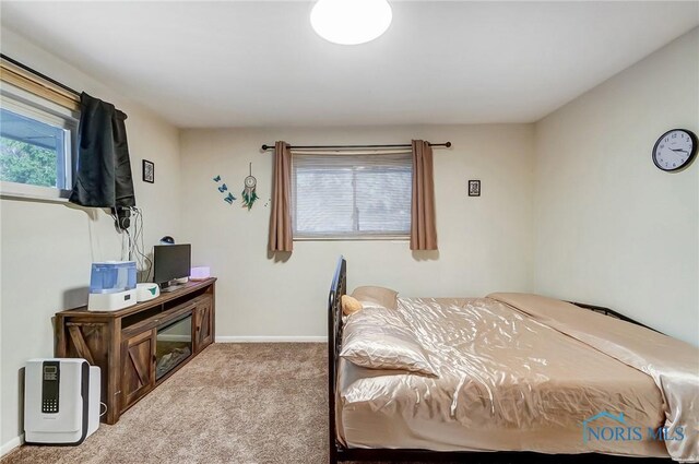 4811 Larkhaven Dr, Toledo, OH 43623 - bedroom with carpet and baseboards