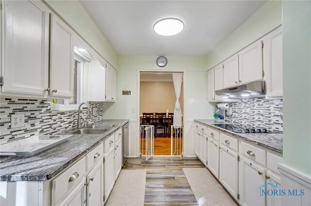 4811 Larkhaven Dr, Toledo, OH 43623 - kitchen featuring under cabinet range hood, a sink, stainless steel dishwasher, and white cabinetry