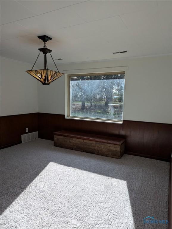 carpeted empty room with ornamental molding, plenty of natural light, and wooden walls