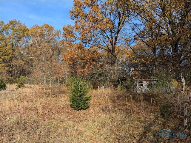 view of local wilderness