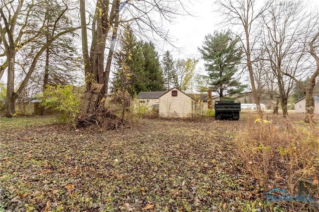 view of yard with a storage shed