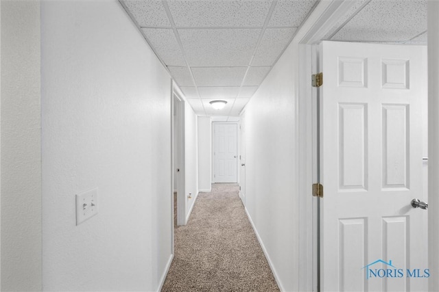 corridor featuring carpet floors, a drop ceiling, and baseboards