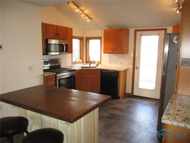 kitchen featuring stainless steel appliances, lofted ceiling, a wealth of natural light, and a peninsula