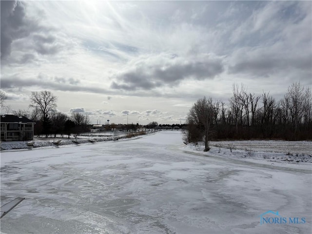 view of yard covered in snow