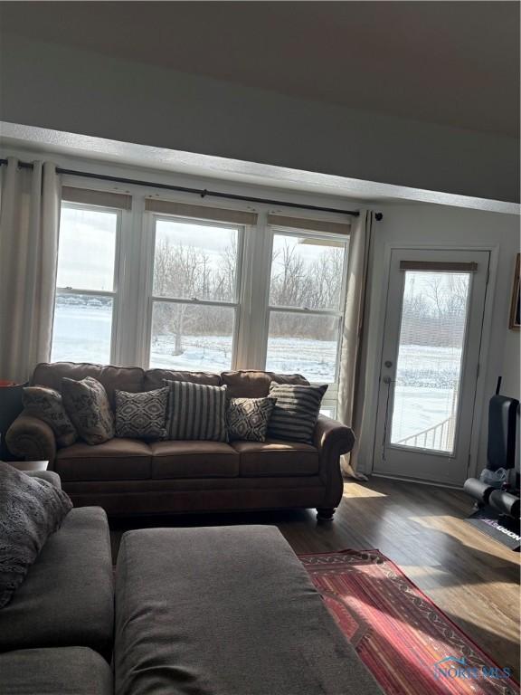 living room featuring a water view and wood finished floors