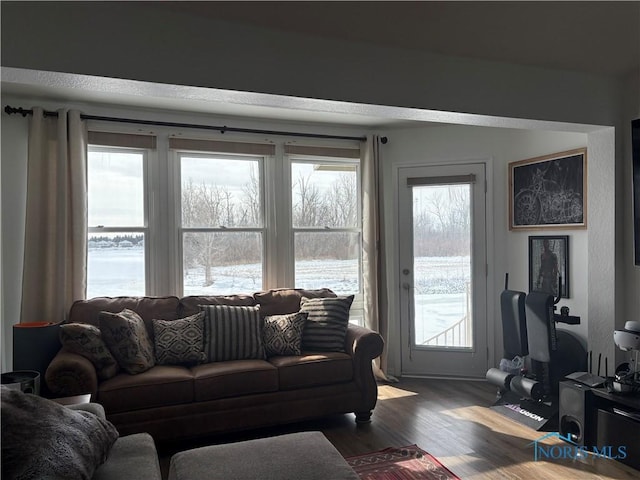 living area featuring wood finished floors