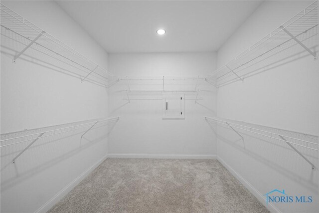 spacious closet featuring carpet flooring