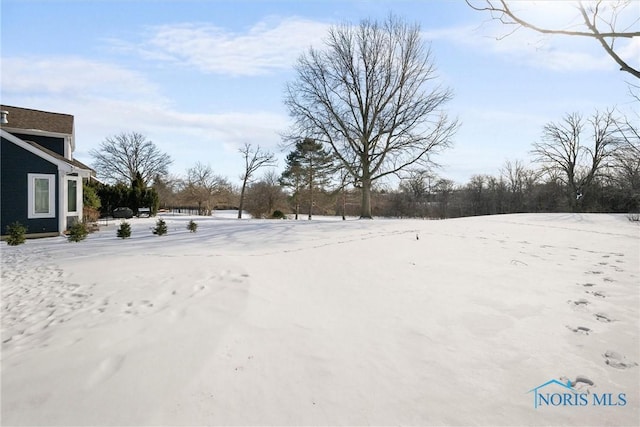 view of snowy yard