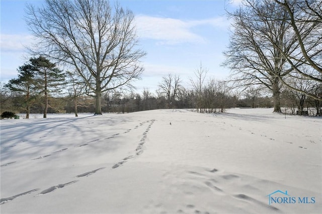 view of snowy yard