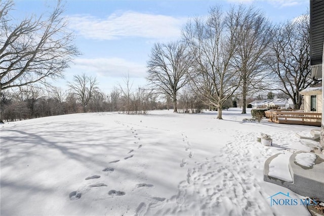 view of yard covered in snow