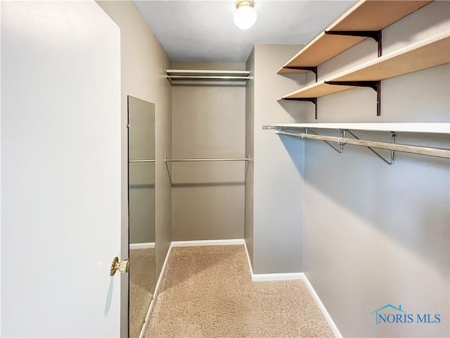 spacious closet with carpet